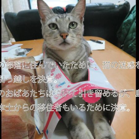 Вилла Okinawa Freedom Накидзин Экстерьер фото