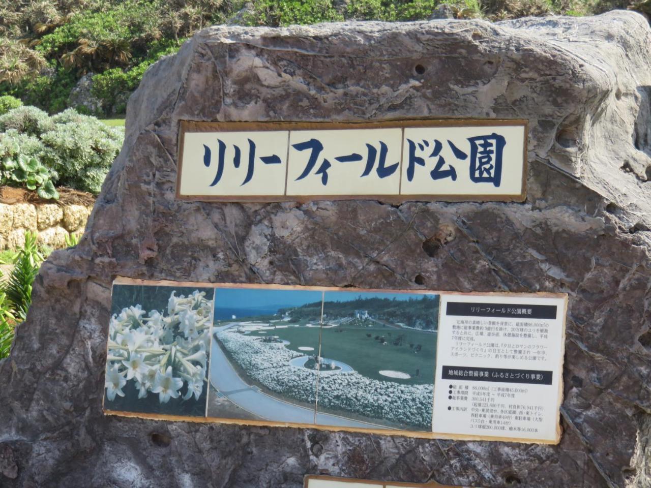Вилла Okinawa Freedom Накидзин Экстерьер фото
