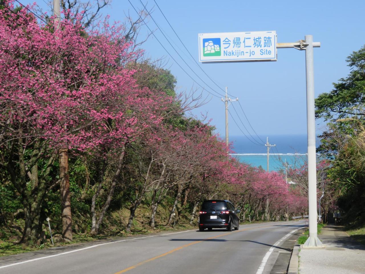 Вилла Okinawa Freedom Накидзин Экстерьер фото