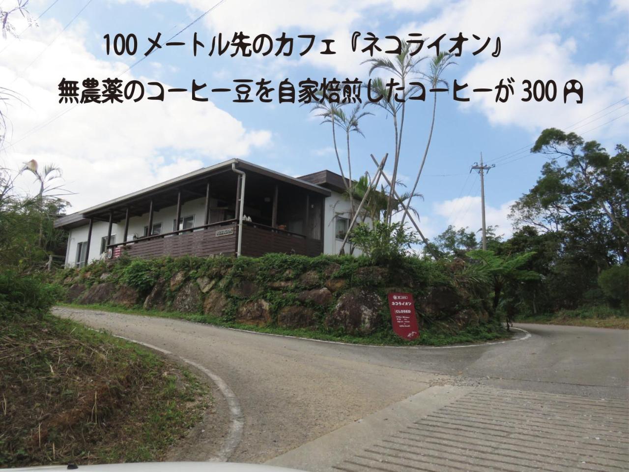 Вилла Okinawa Freedom Накидзин Экстерьер фото