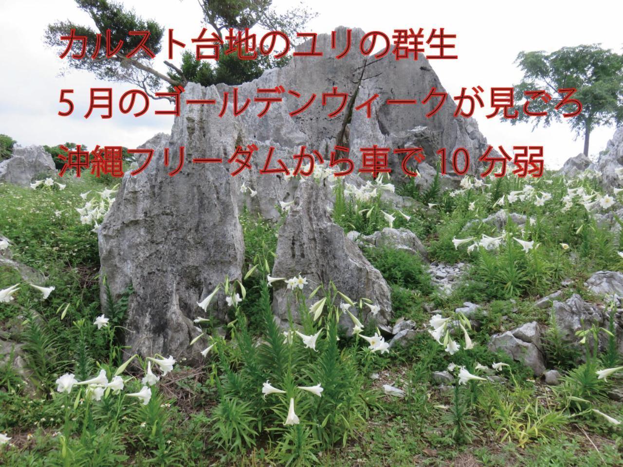 Вилла Okinawa Freedom Накидзин Экстерьер фото