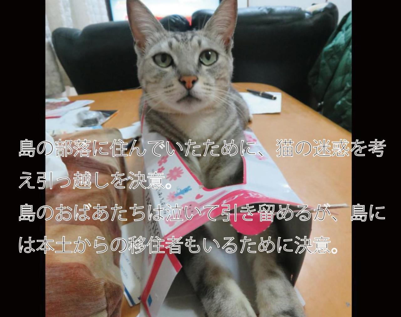Вилла Okinawa Freedom Накидзин Экстерьер фото