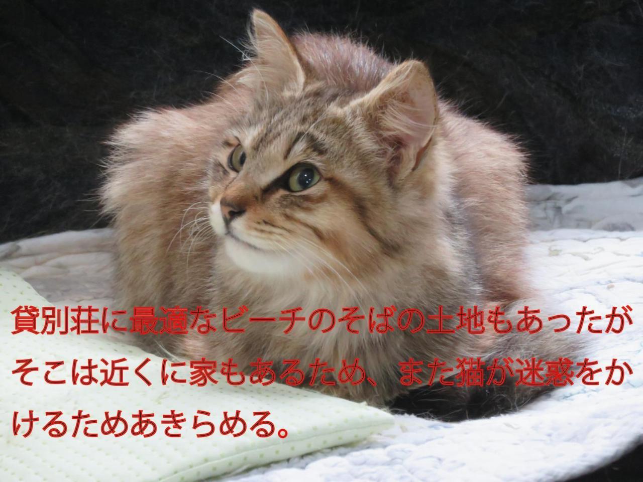 Вилла Okinawa Freedom Накидзин Экстерьер фото